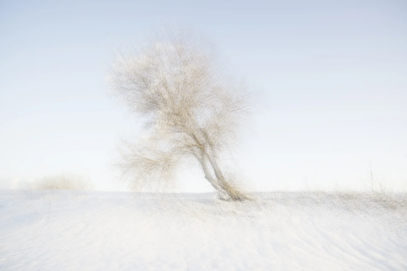  Ten Moments in Benson 