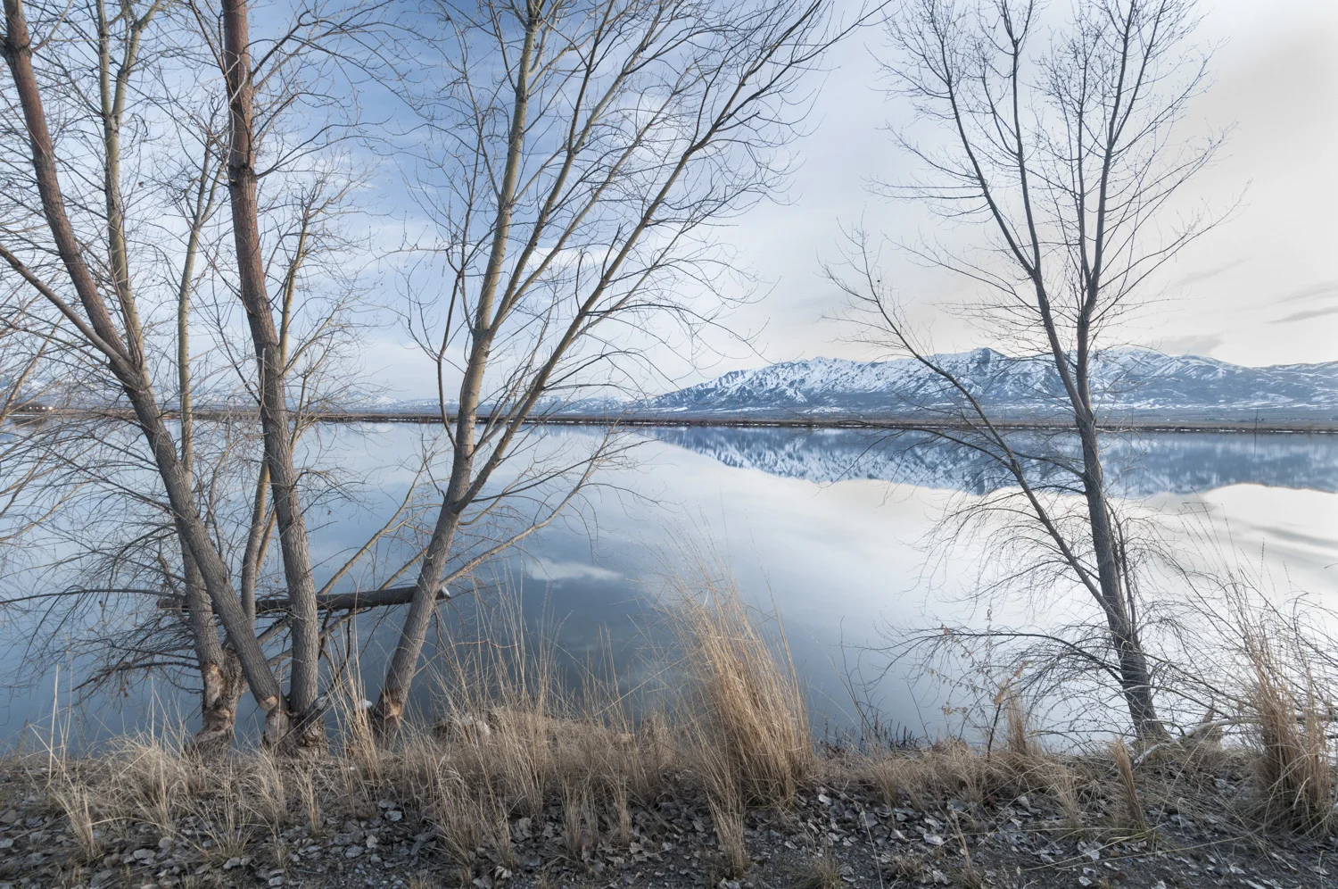  Cutler Marsh Near Benson Marina, Cache Valley, Utah, 2016 