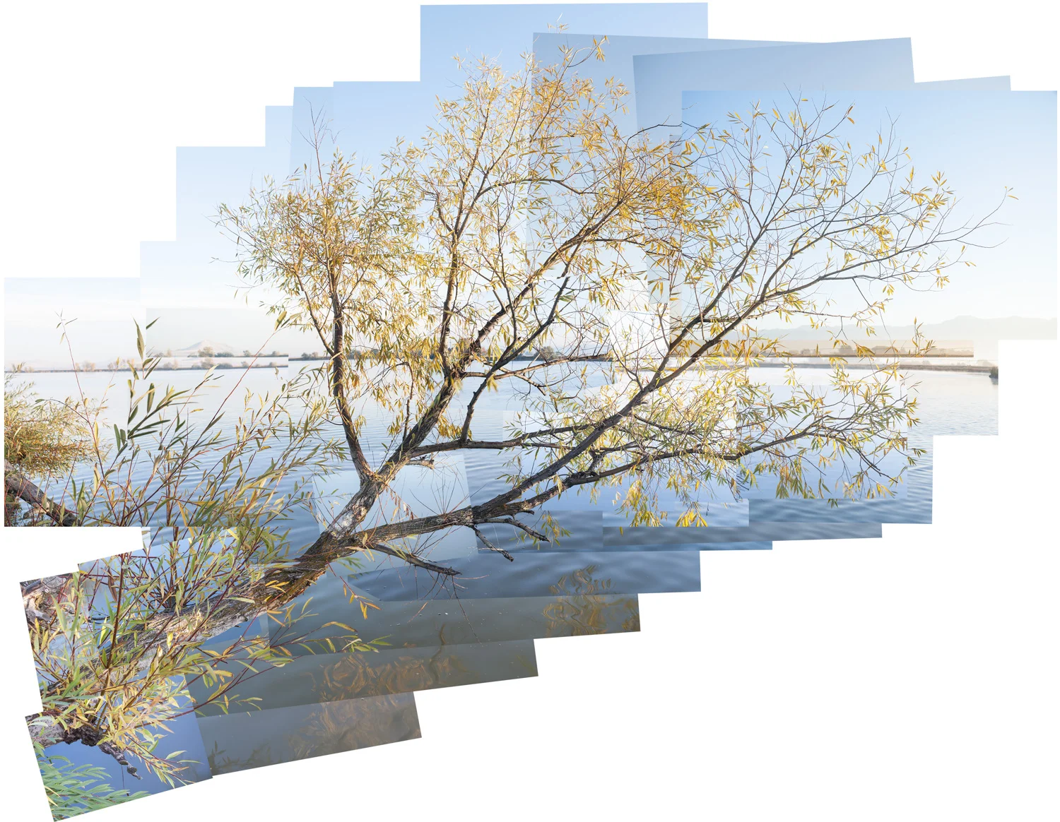  Twenty Minutes During Sunrise 