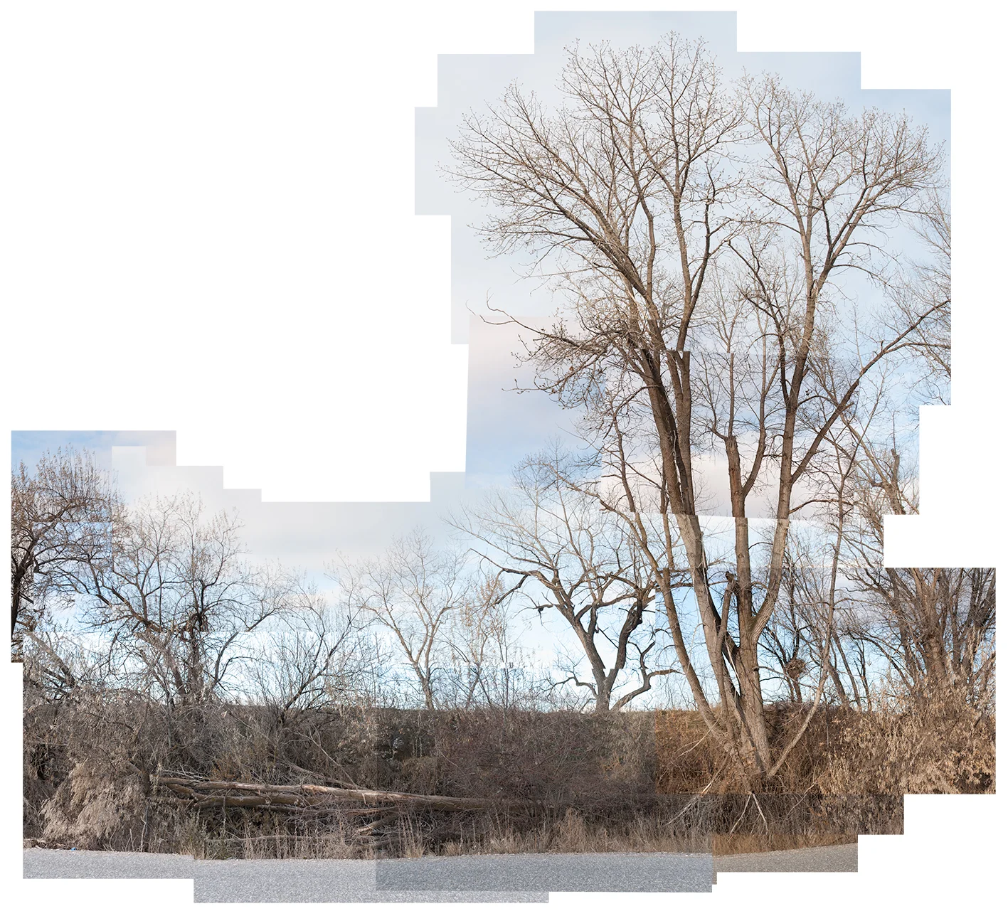  Eighteen Minutes in Amalga 