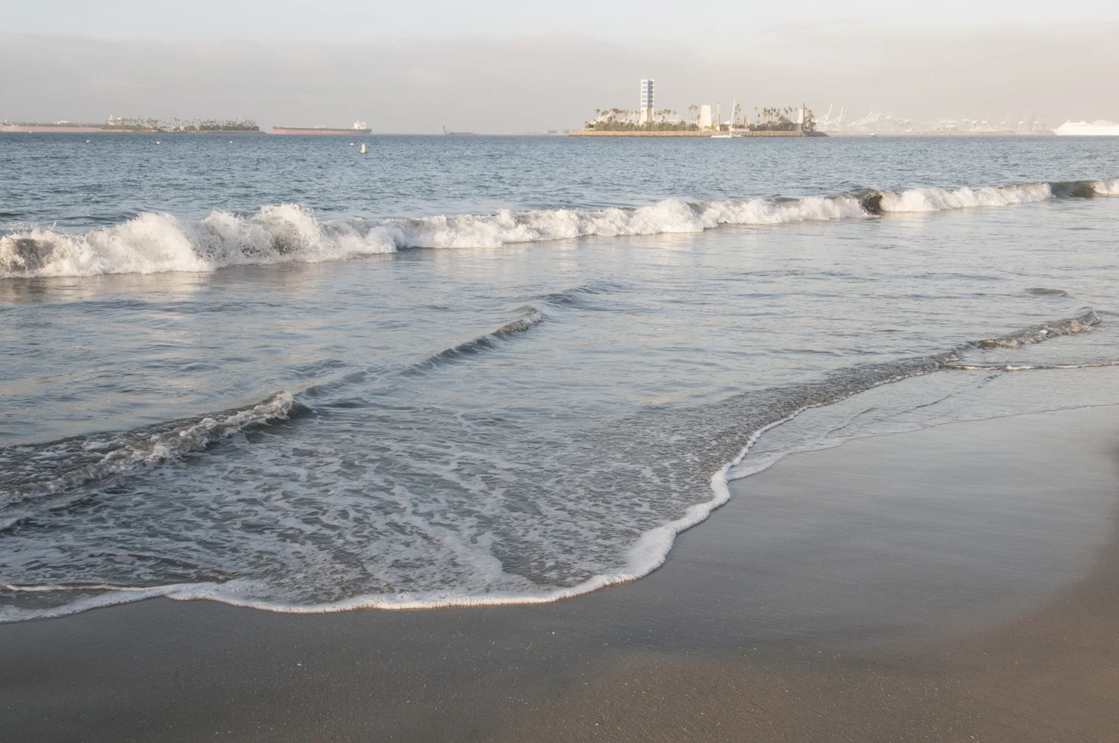  Island White, Long Beach, California 2016 