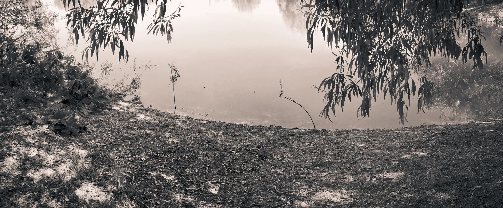  Mayor's Pond, Brigham City, Utah, 2015 